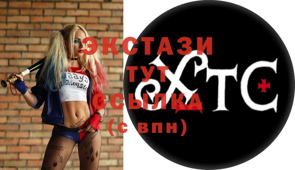 МДПВ Бородино