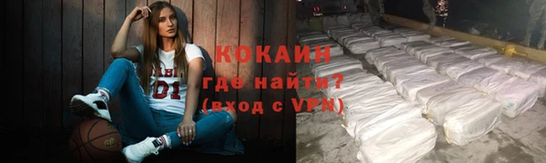 МДПВ Бородино