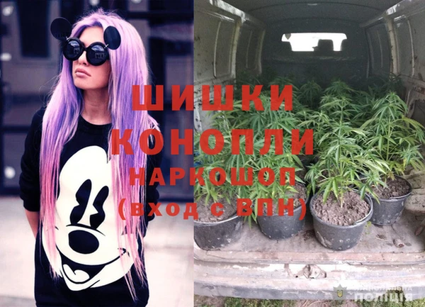 spice Бугульма