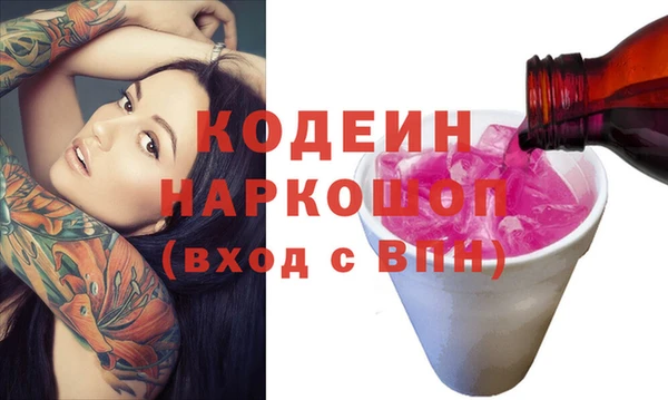 МДПВ Бородино